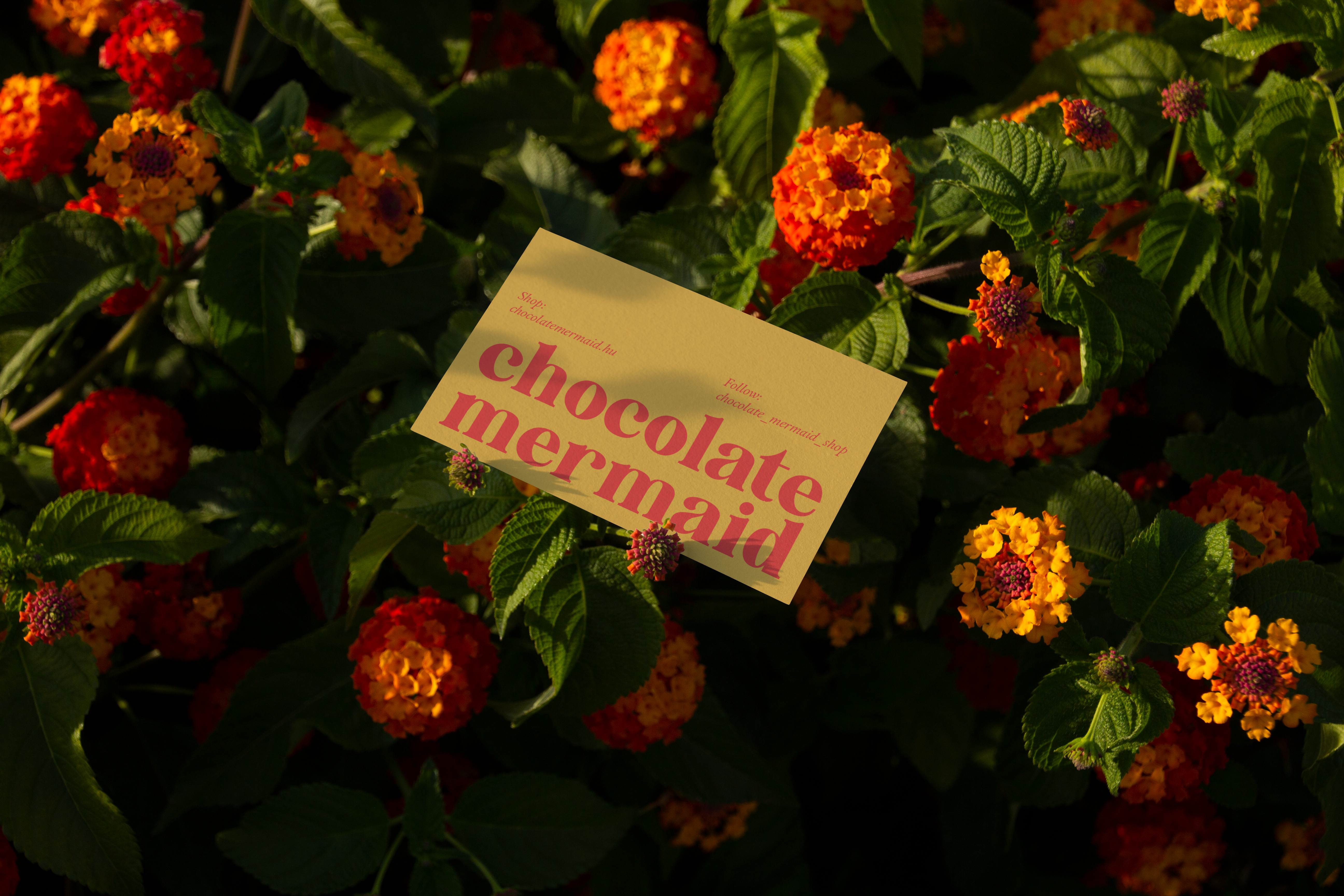 BenditoMockup-D-Business_Card-06