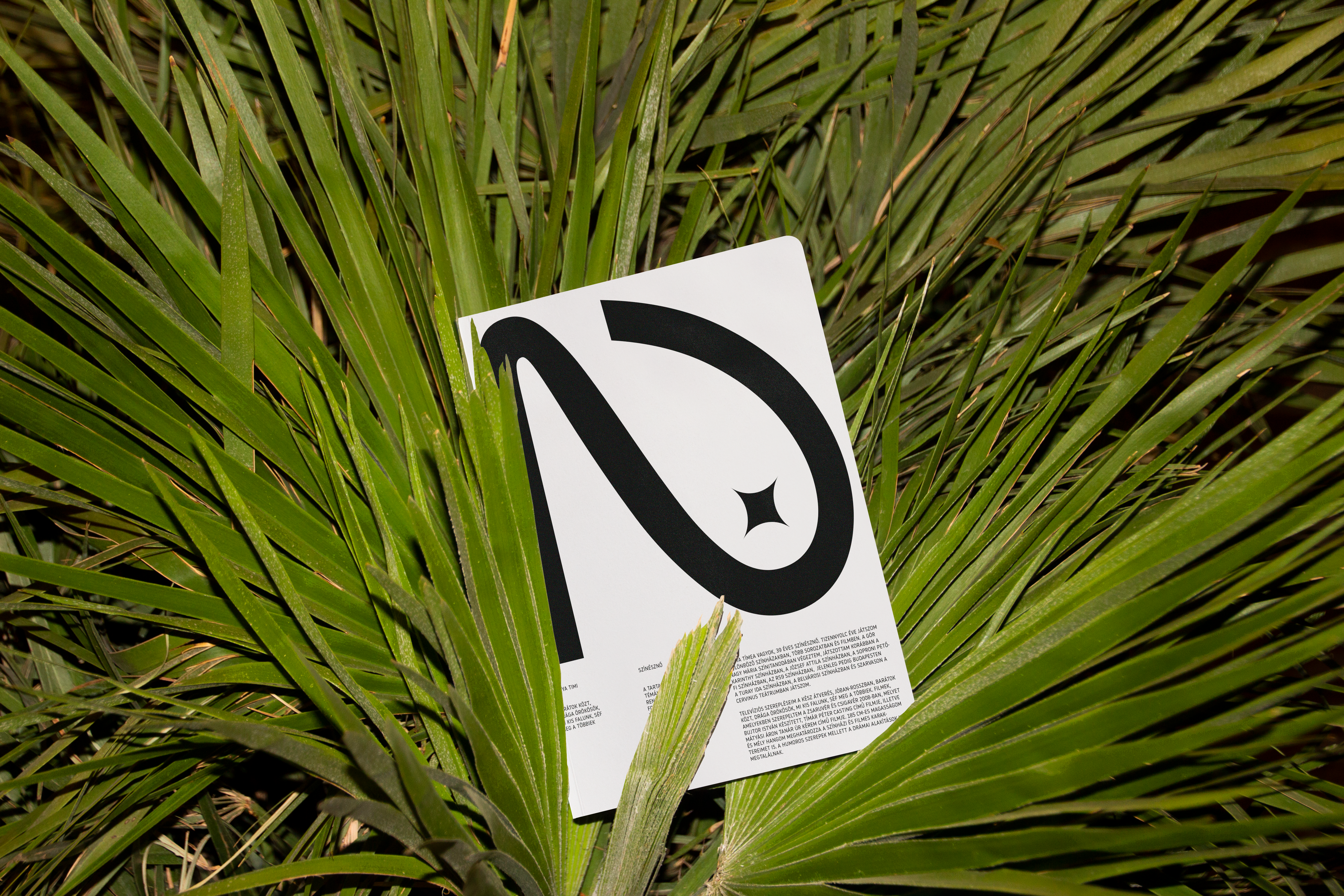 BenditoMockup-Free-Book-03_2