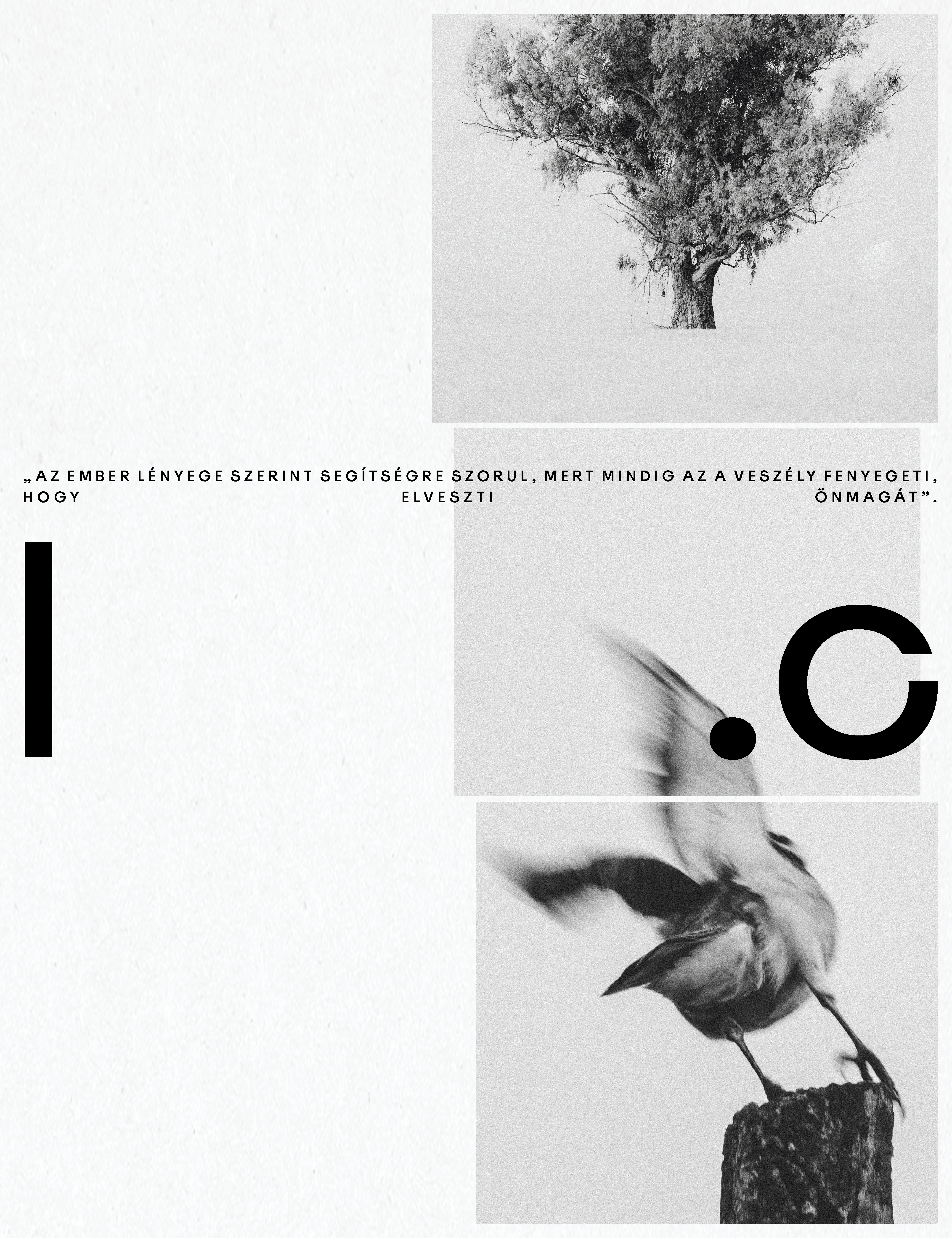 LegalCoaching_web_allo